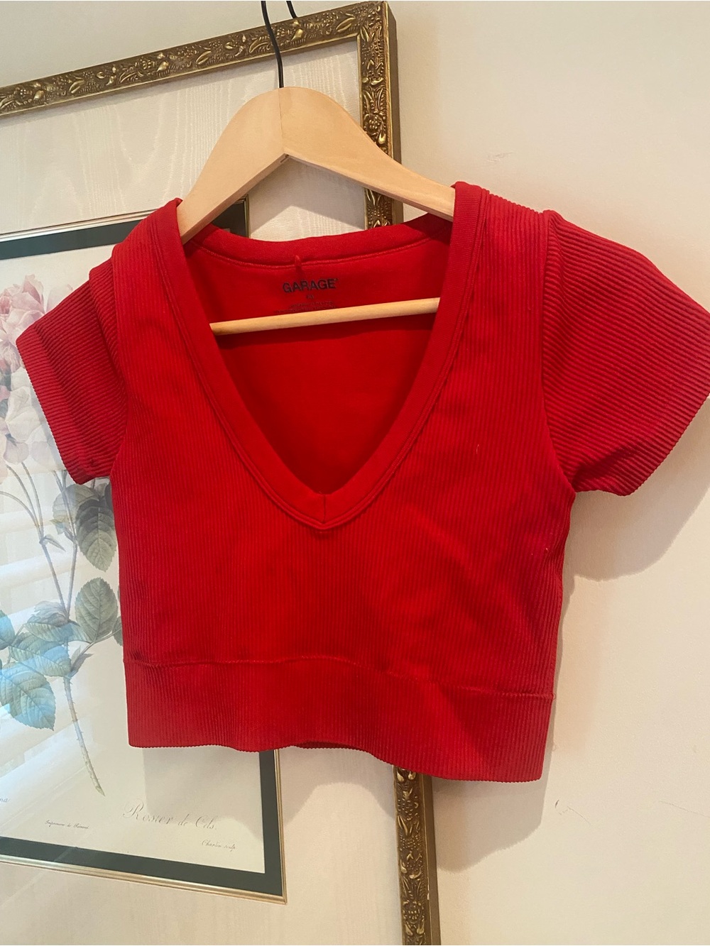 Garage Red Ribbed V-Neck Short Sleeve Crop Top